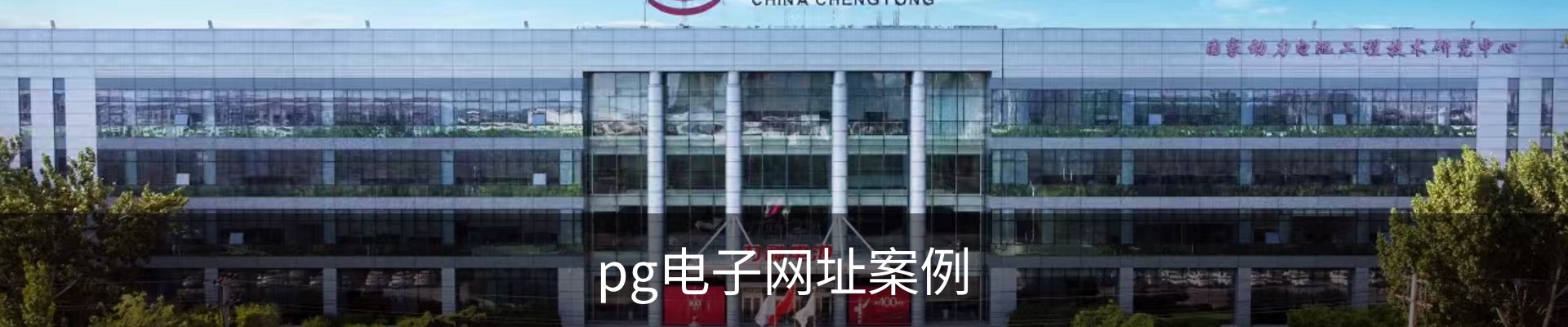 pg电子网址案例